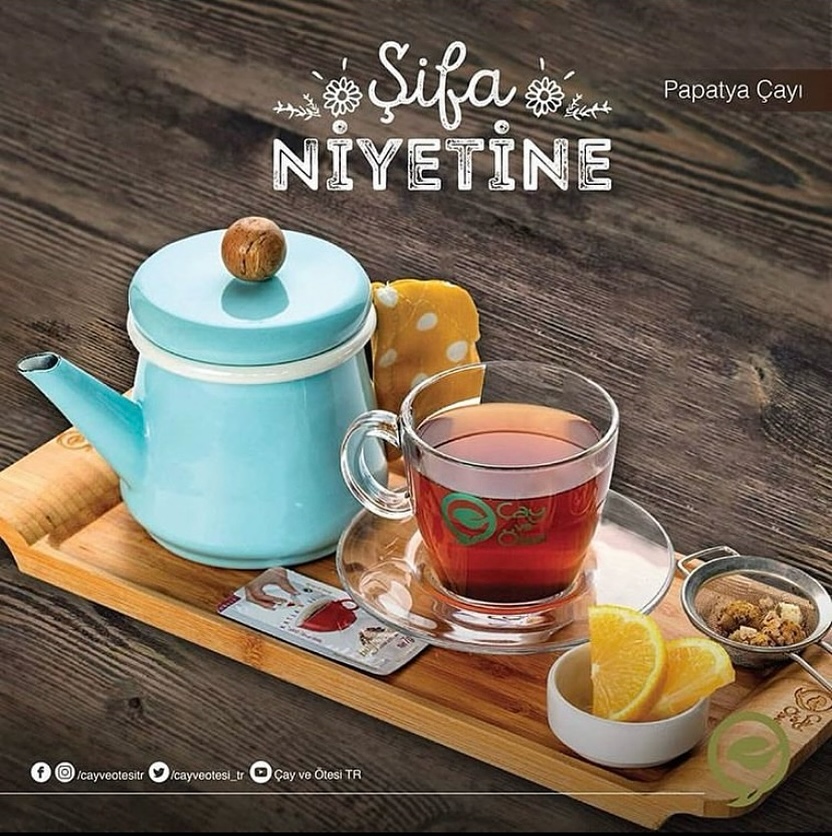 Papatya