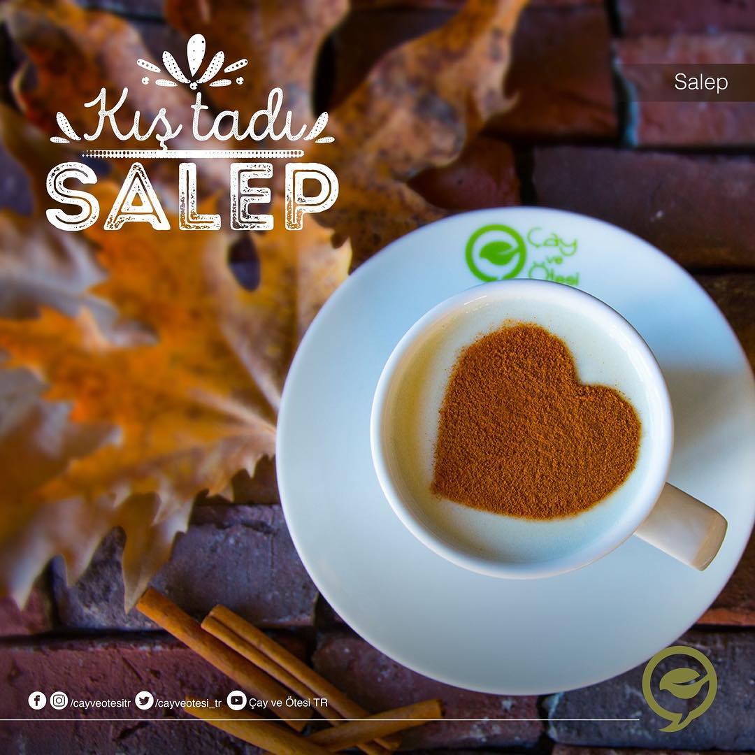 Salep